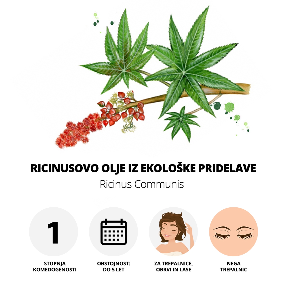 Ricinusovo olje iz ekološke pridelave Ricinusovo olje iz ekološke pridelave